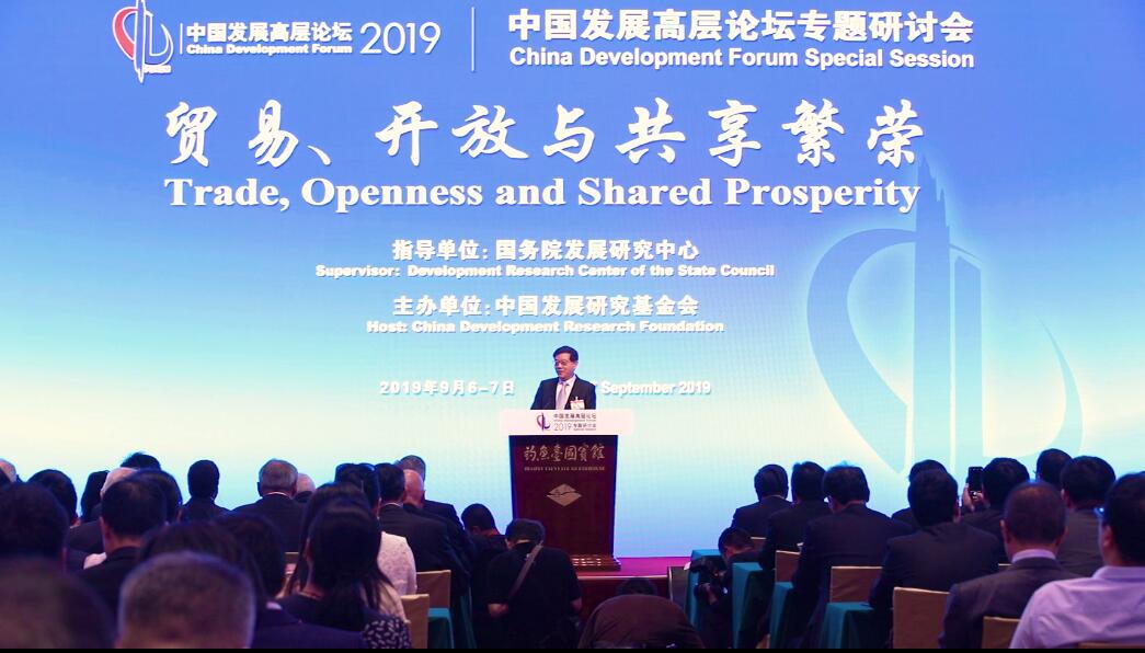 中国发展高层论坛专题研讨会2019掠影