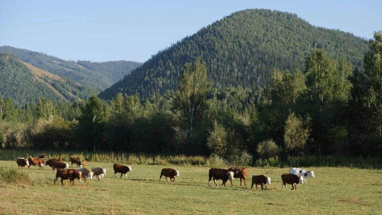 在我的阿勒泰,看到马背上的她