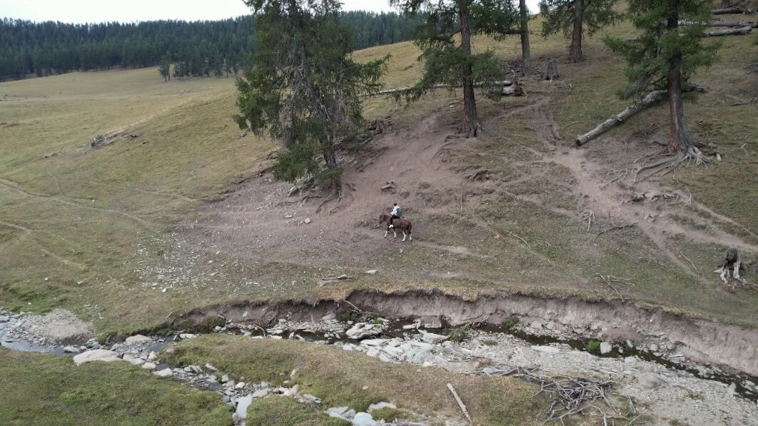 在我的阿勒泰,看到马背上的她