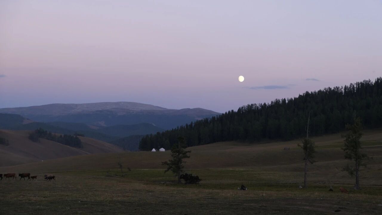 在我的阿勒泰,看到马背上的她