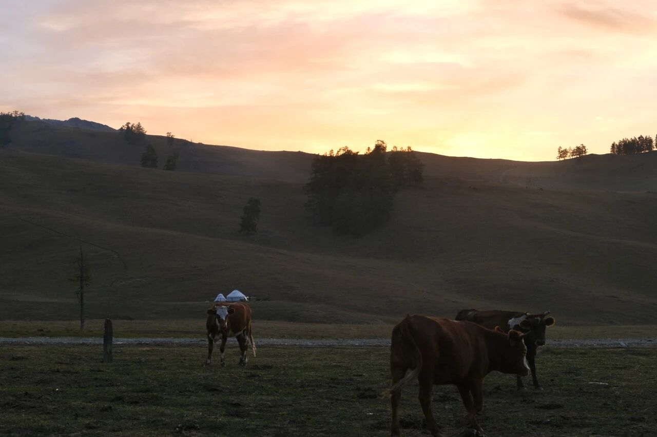 “马背上的家访员”背后