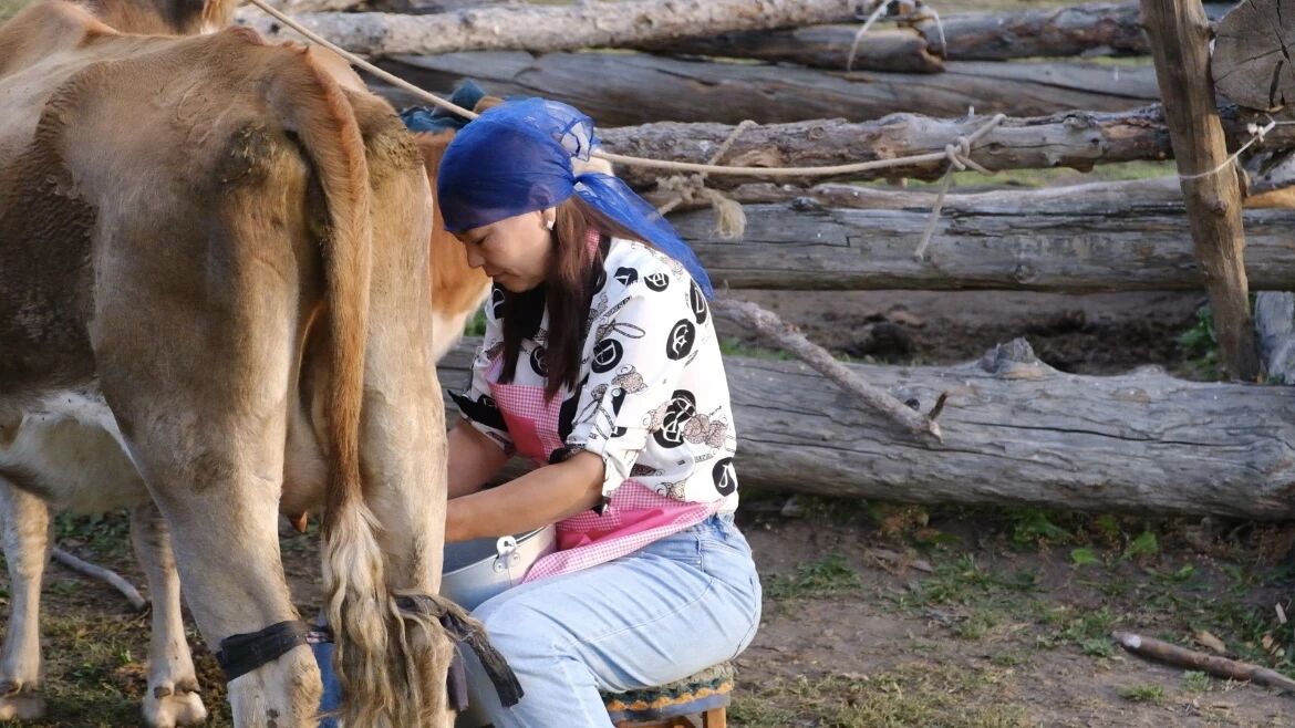 “马背上的家访员”背后