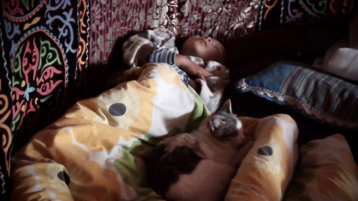 “马背上的家访员”背后