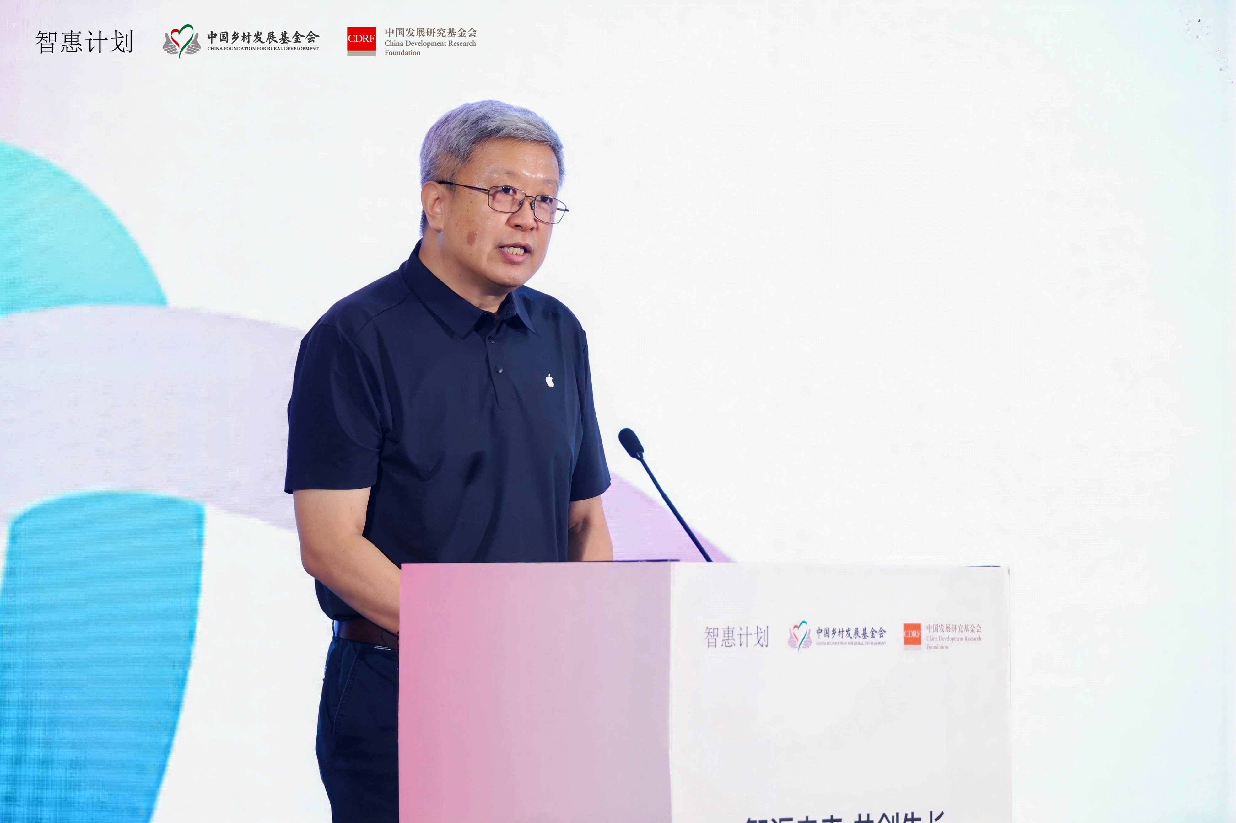 11 中国发展研究基金会副秘书长乔正阳总结讲话.jpg