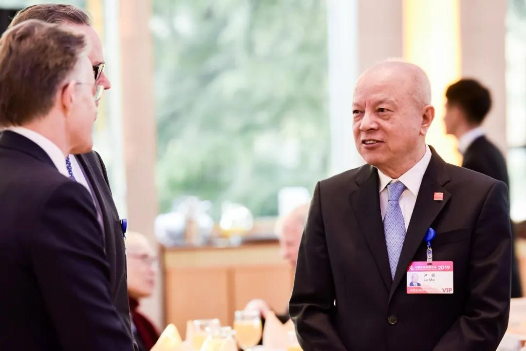 卢迈在中国发展高层论坛上.jpg